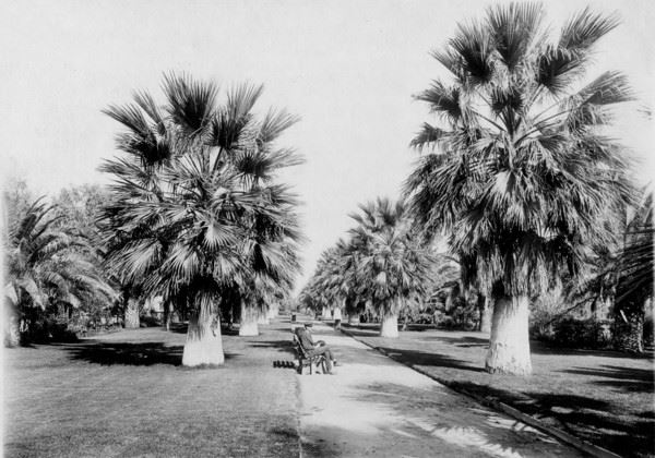 Man Sitting on Bench in Park